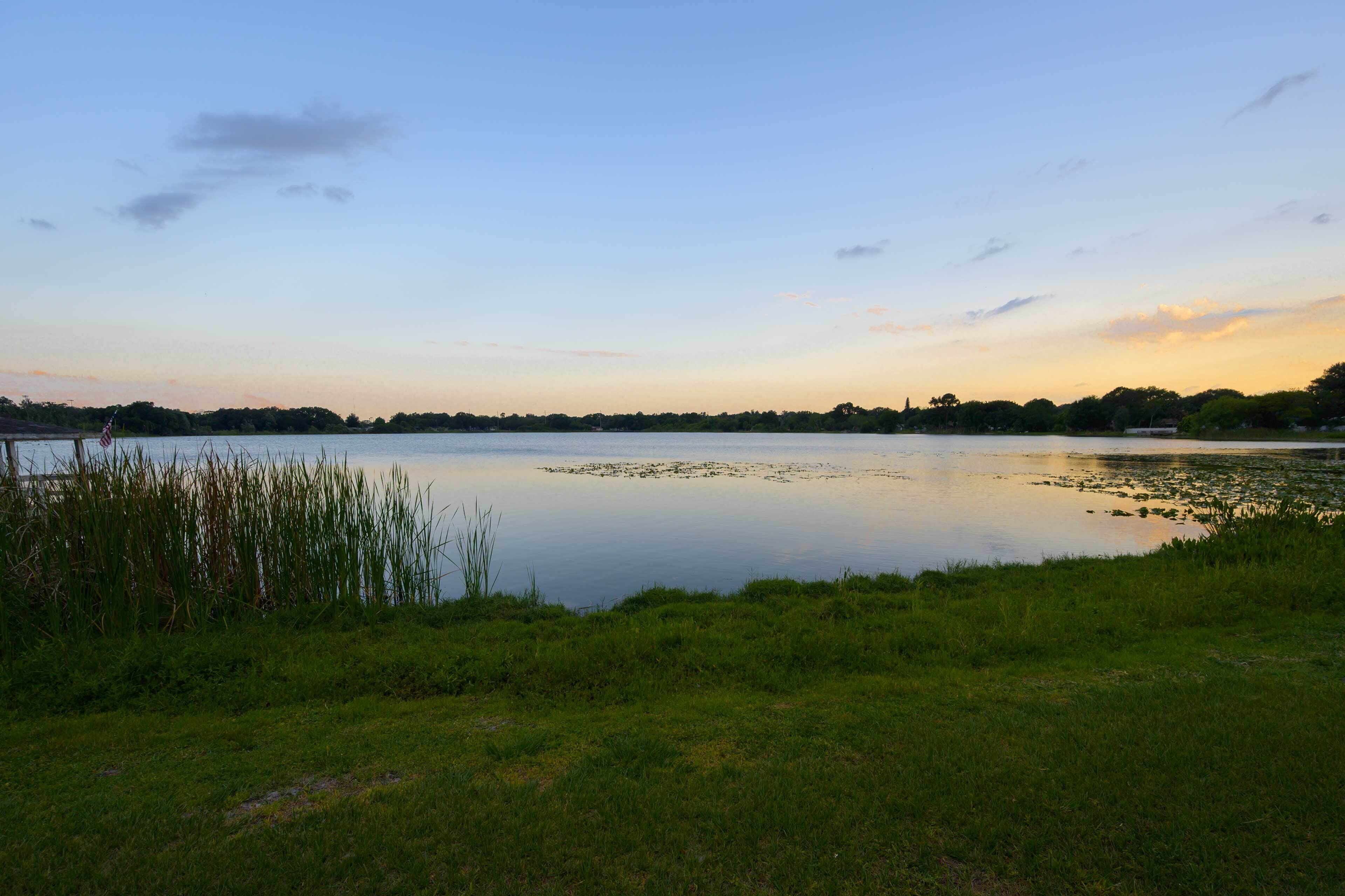 Un lago tranquilo con orillas cubiertas de hierba y un cielo despejado.