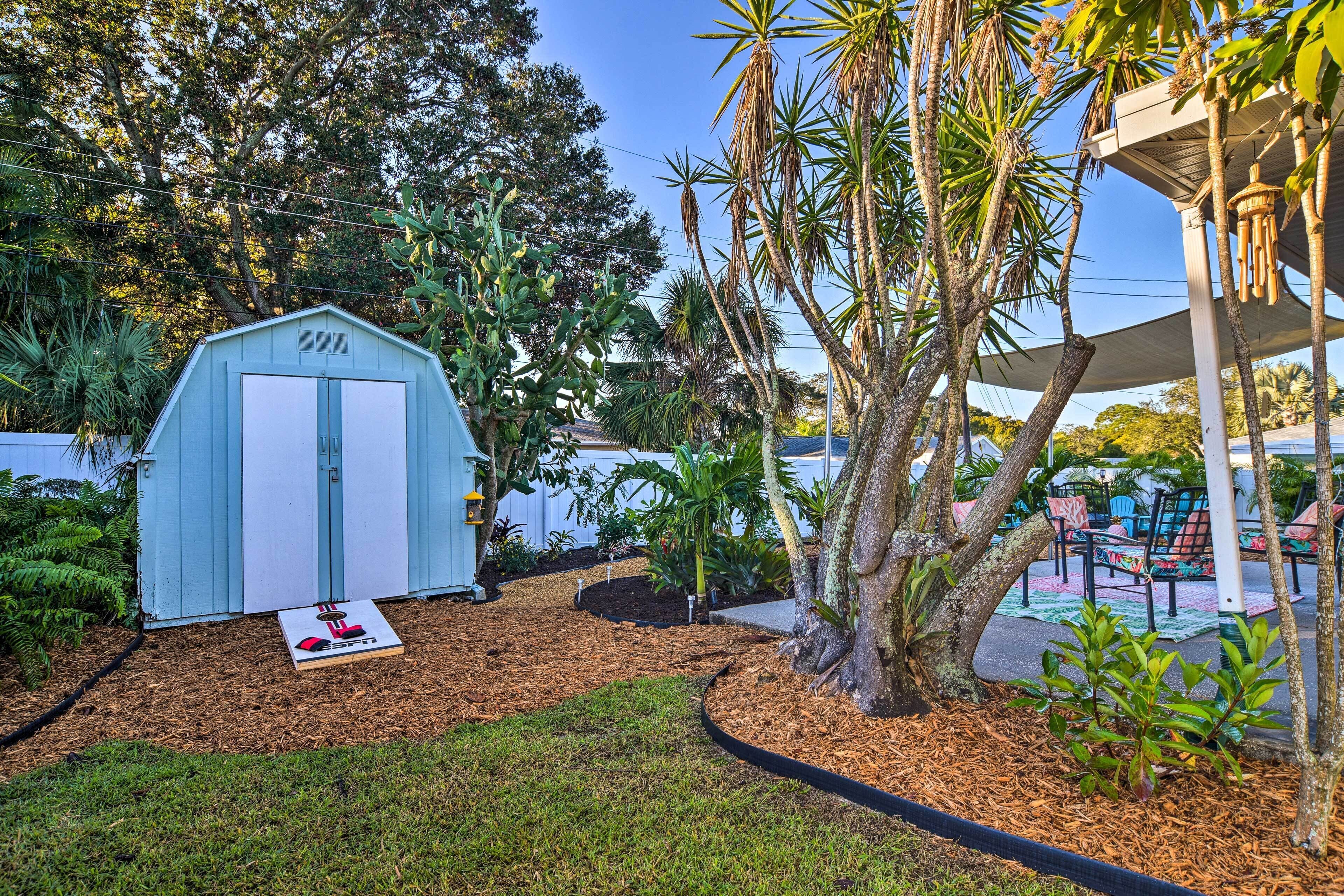 A blue shed in a backyard with a lawn, mulch, and various plants.