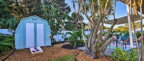 A blue shed in a backyard with a lawn, mulch, and various plants.