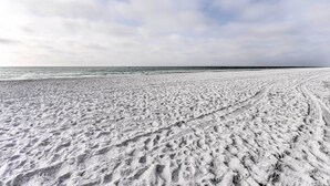 Une plage où l’on peut voir des traces de pneus et des empreintes de pas dans le sable.