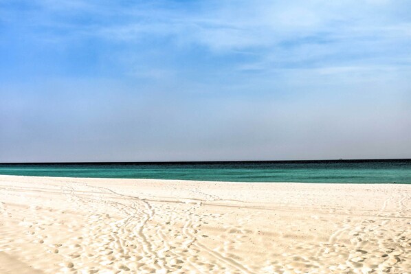 アパートメント (2 Bedrooms) | 内装