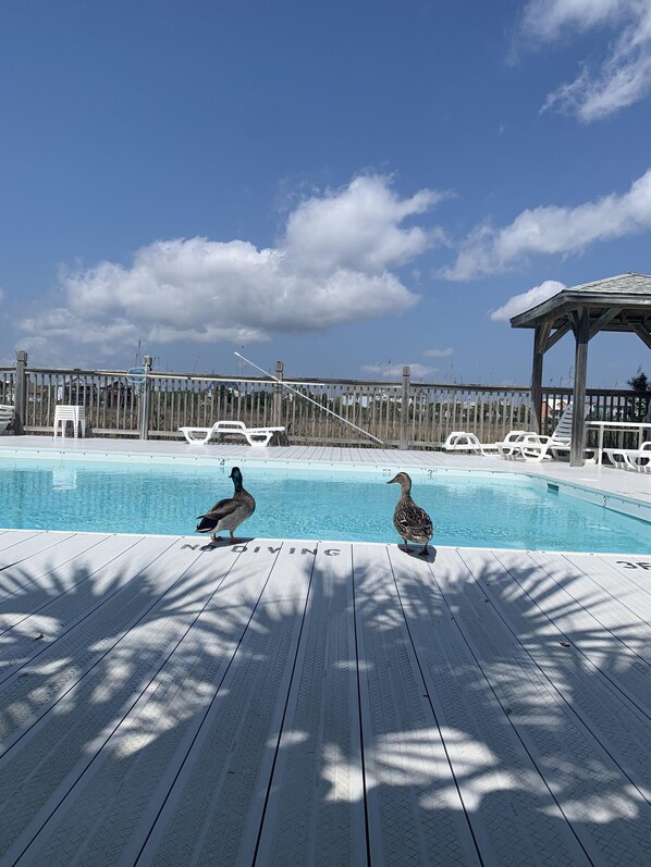 Outdoor pool - Carolina Marsh Hideaway (Carolina Beach)