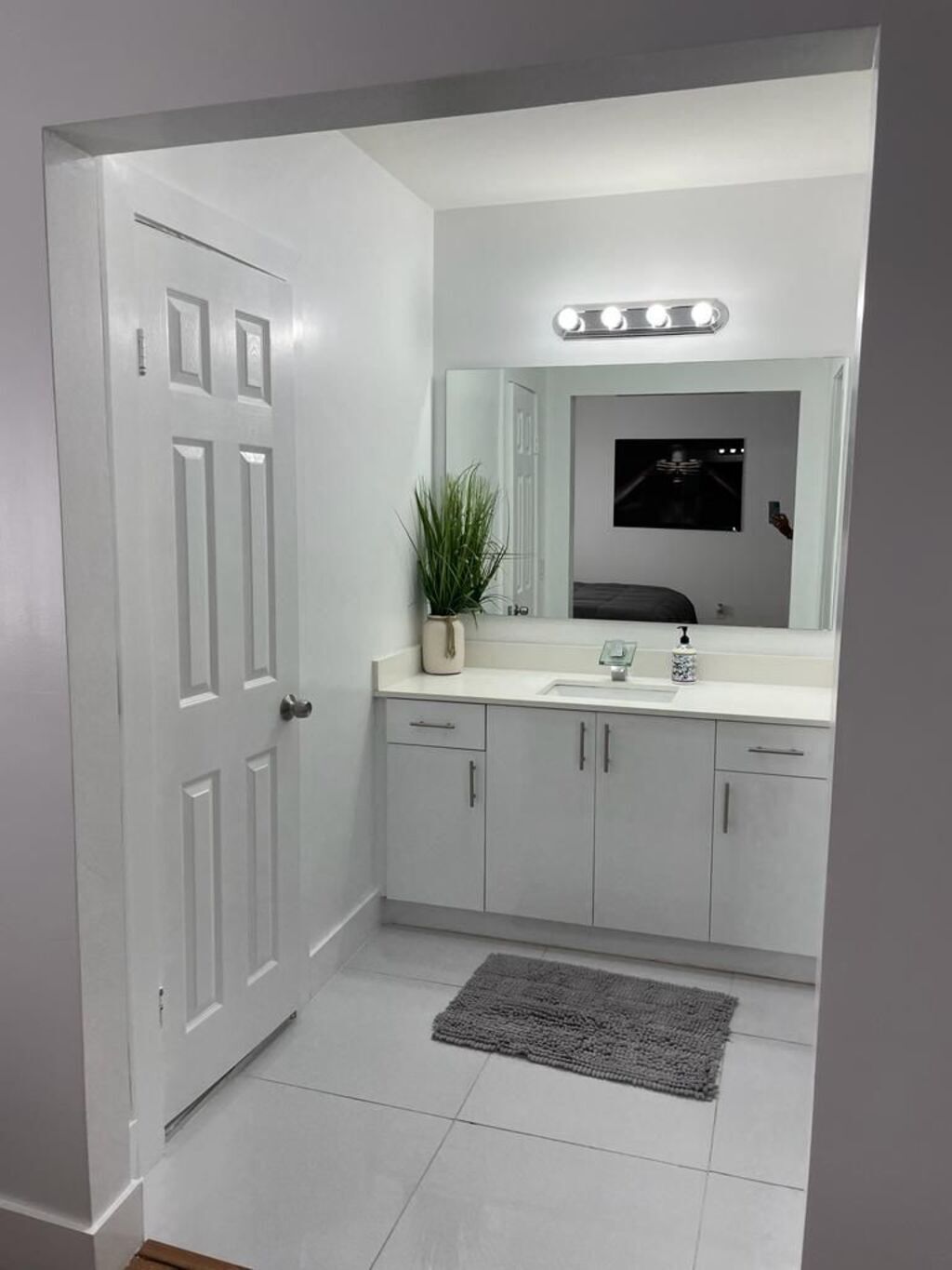 A bathroom with a white door, a sink with a mirror above it, and a small plant on the counter.