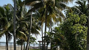 A tropical garden with palm trees, a grassy area, and a view of the sea. - Paradise Bay (Puerto El Triunfo)