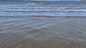 A beach with waves and a clear sky. - Paradise Bay (Puerto El Triunfo)
