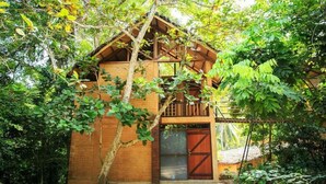 Une cabane en bois rustique, entourée d’une végétation luxuriante.