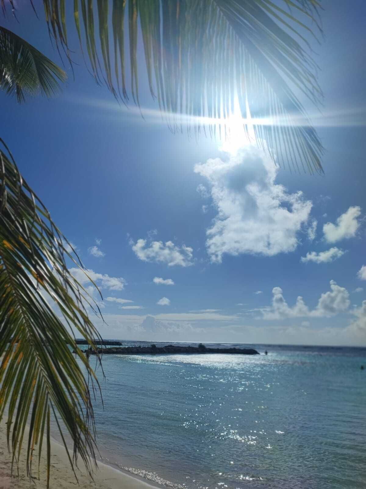 沙滩椅、沙滩毛巾