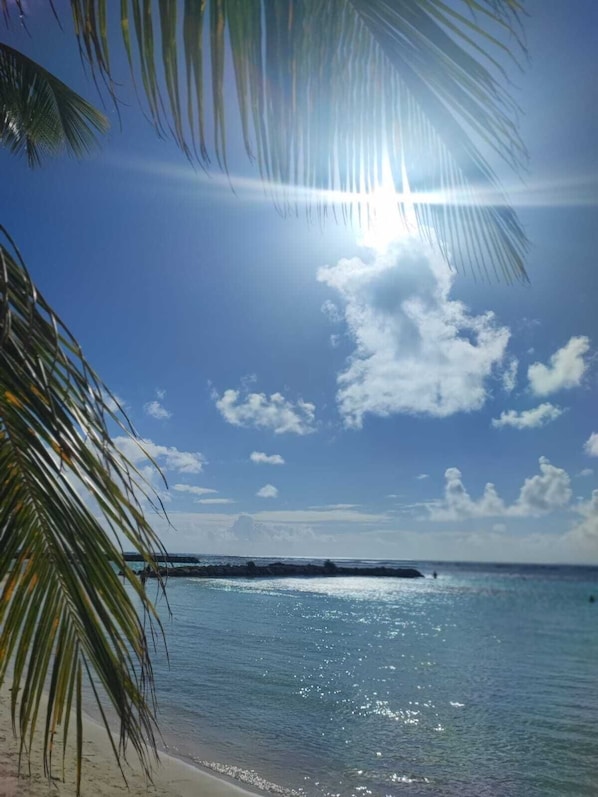 Sun-loungers, beach towels