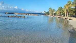 Una playa con aguas transparentes y poco profundas, palmeras y afloramientos rocosos.