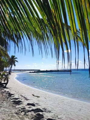 Una playa con agua azul cristalina, palmeras y una orilla arenosa.