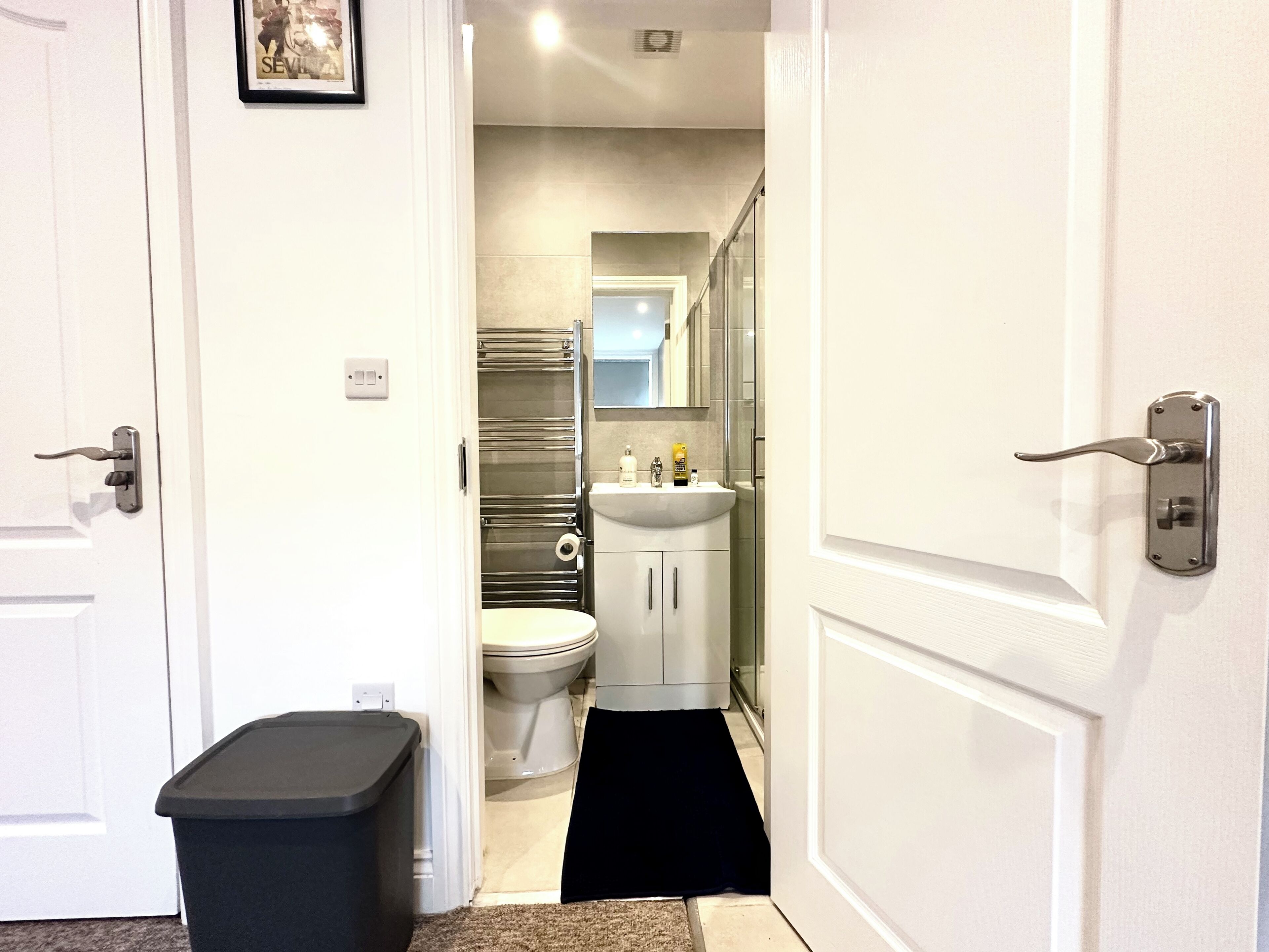 Hair dryer, towels, soap, toilet paper