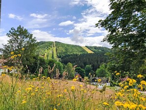 Un paysage rural avec une maison, un champ de fleurs jaunes et une colline boisée.