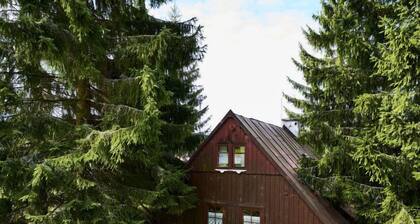 Mountain Serenity & Sauna by Interhome