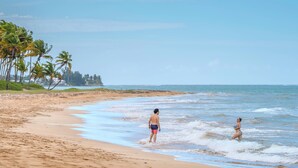 A beach with palm trees and a clear sky. - Villa Amelita is a cozy, breezy & tropical haven (Río Grande)