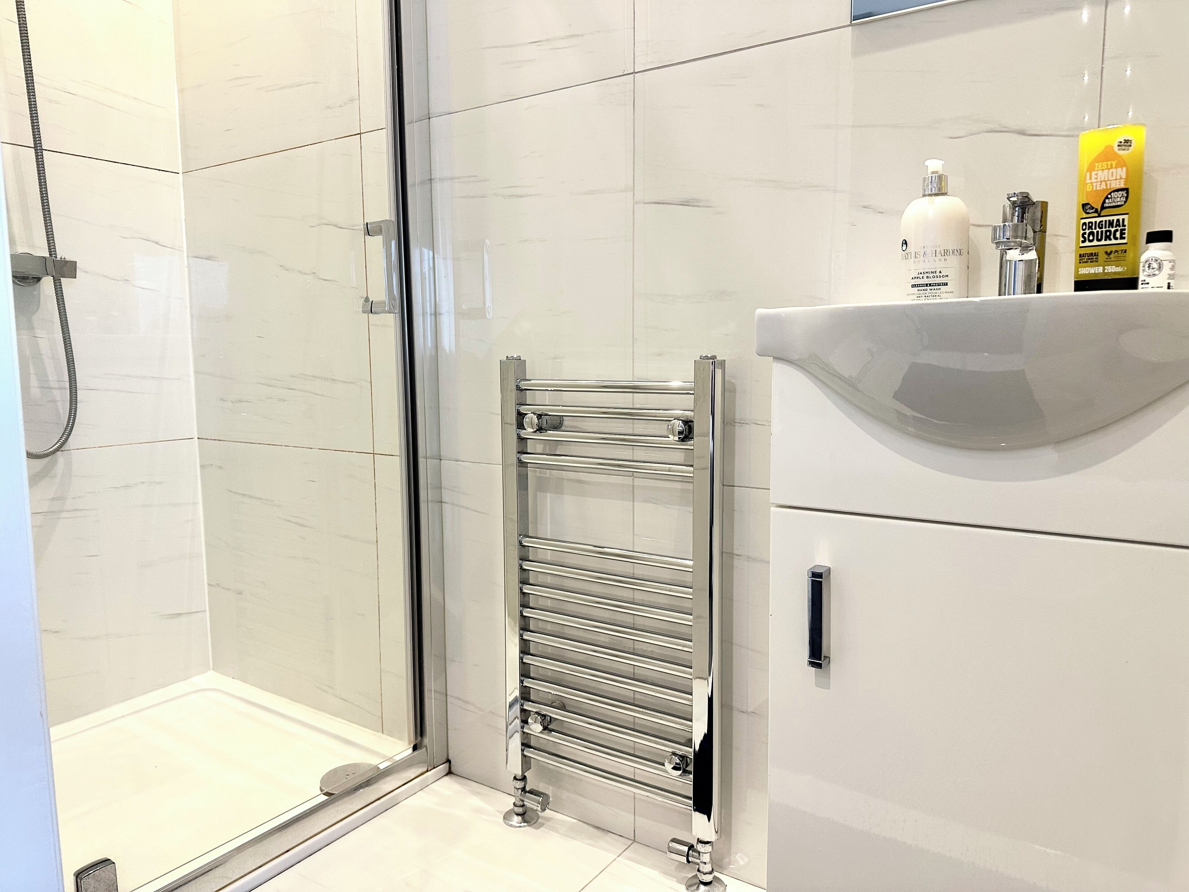 Shower, hair dryer, towels