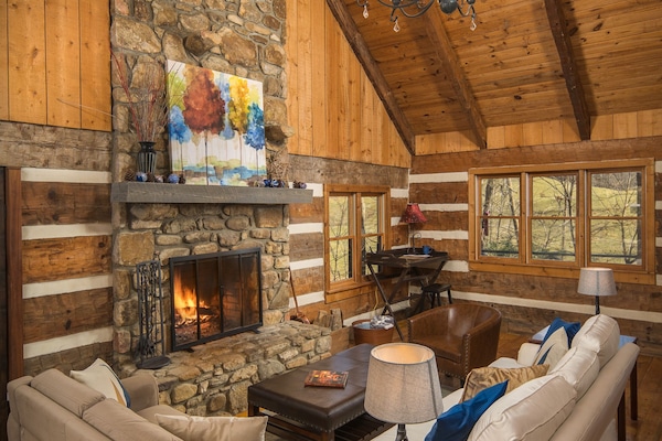 Smart TV, chimenea, reproductor de DVD y libros