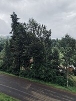 Carretera bordeada por un bosque denso y un edificio con techo inclinado.