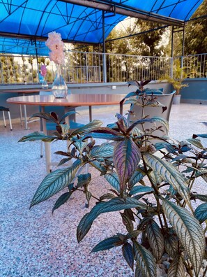 Exterior - Dad's Place (Karatina)