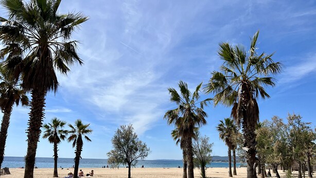 A beach with palm trees and a clear sky. - Nice studio with balcony located in Fréjus. (Fréjus)