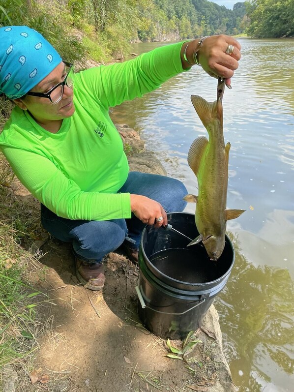 A person holding a fish above a bucket. - Charming cabin overlooking river Smoky mountains (Chuckey)