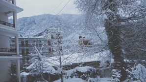 A residential area with snow-covered trees and buildings.