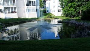 Property grounds - Celebrate Branson (Branson)