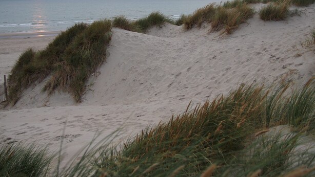 A beach with sand dunes and grass. - Appartement 6 Personnes Berck, à 400 Mètres de la Plage! (Berck)