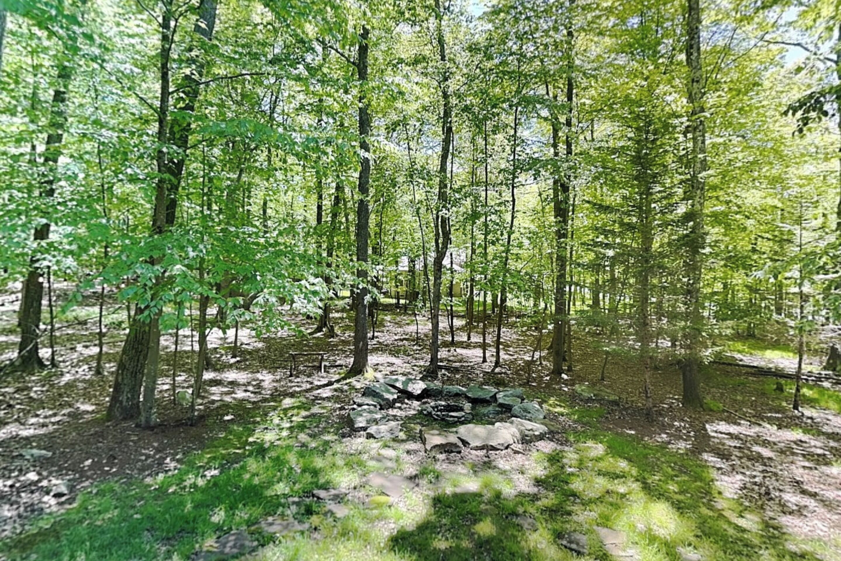A forested area with trees, a small clearing, and a pile of rocks.