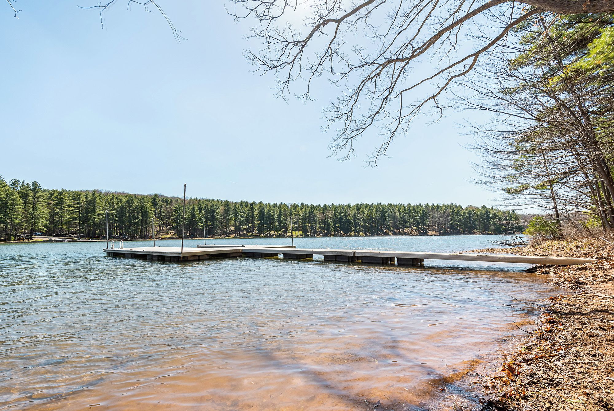 Een meer met een steiger die in het water reikt, omgeven door dicht bos.