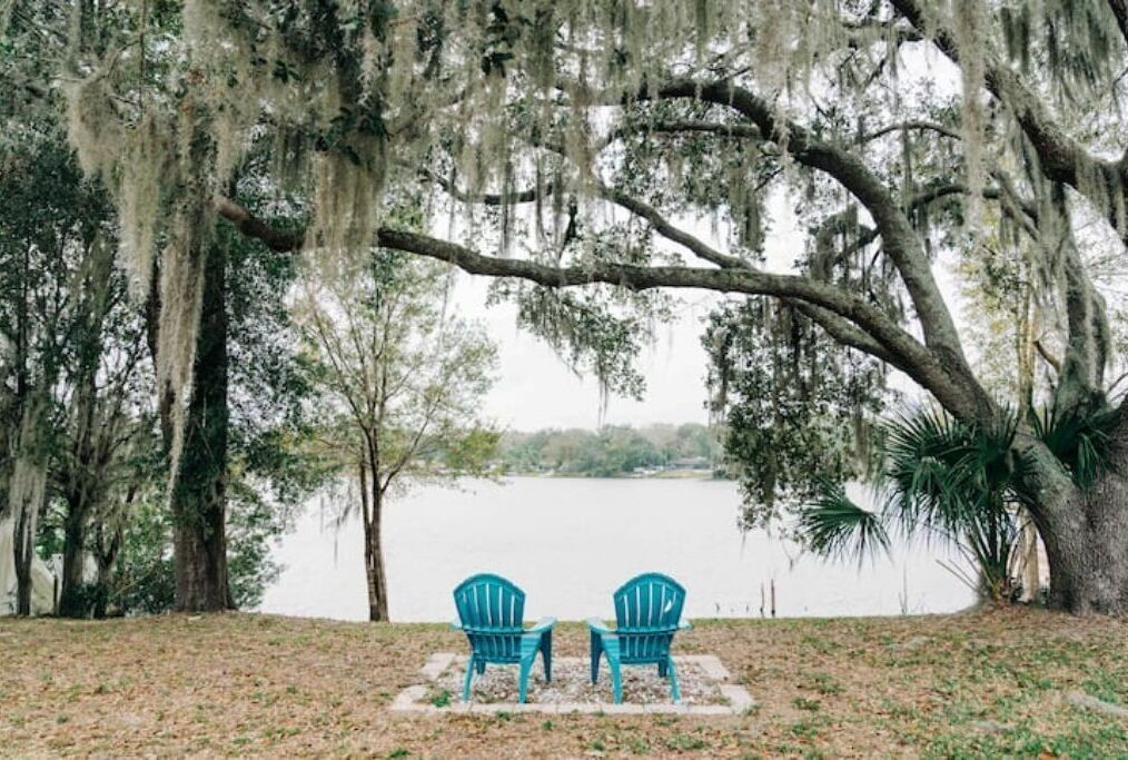 Waterfront Nature Retreat:15 mins to downtownTampa