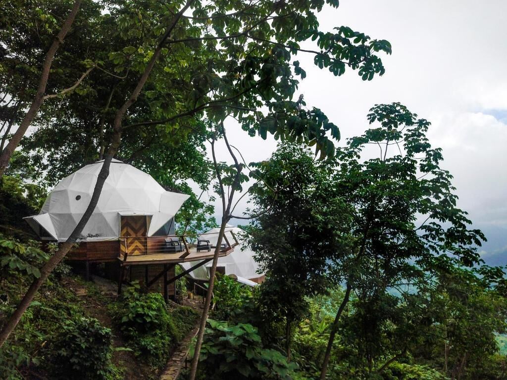 A treehouse-style accommodation with a white exterior, wooden deck, and a view of the surrounding forest.