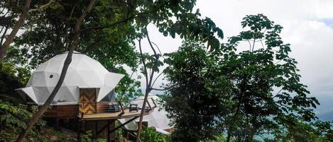 A treehouse-style accommodation with a white exterior, wooden deck, and a view of the surrounding forest.