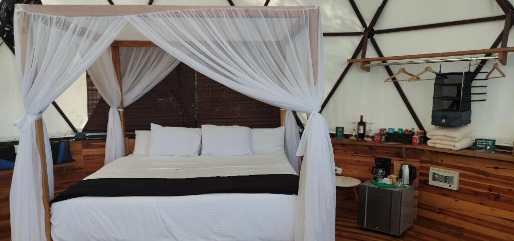 A bed with a canopy, a wooden headboard, a bedside table with a radio, and a wall-mounted TV.