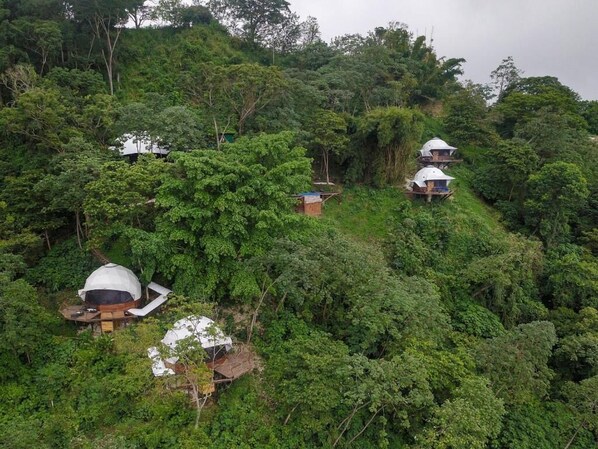 A cluster of dome-shaped huts nestled in a lush forest. - Trekker Glamping (Santa Marta)