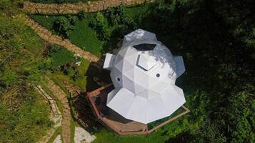 A geodesic dome structure surrounded by lush greenery and a stone pathway.