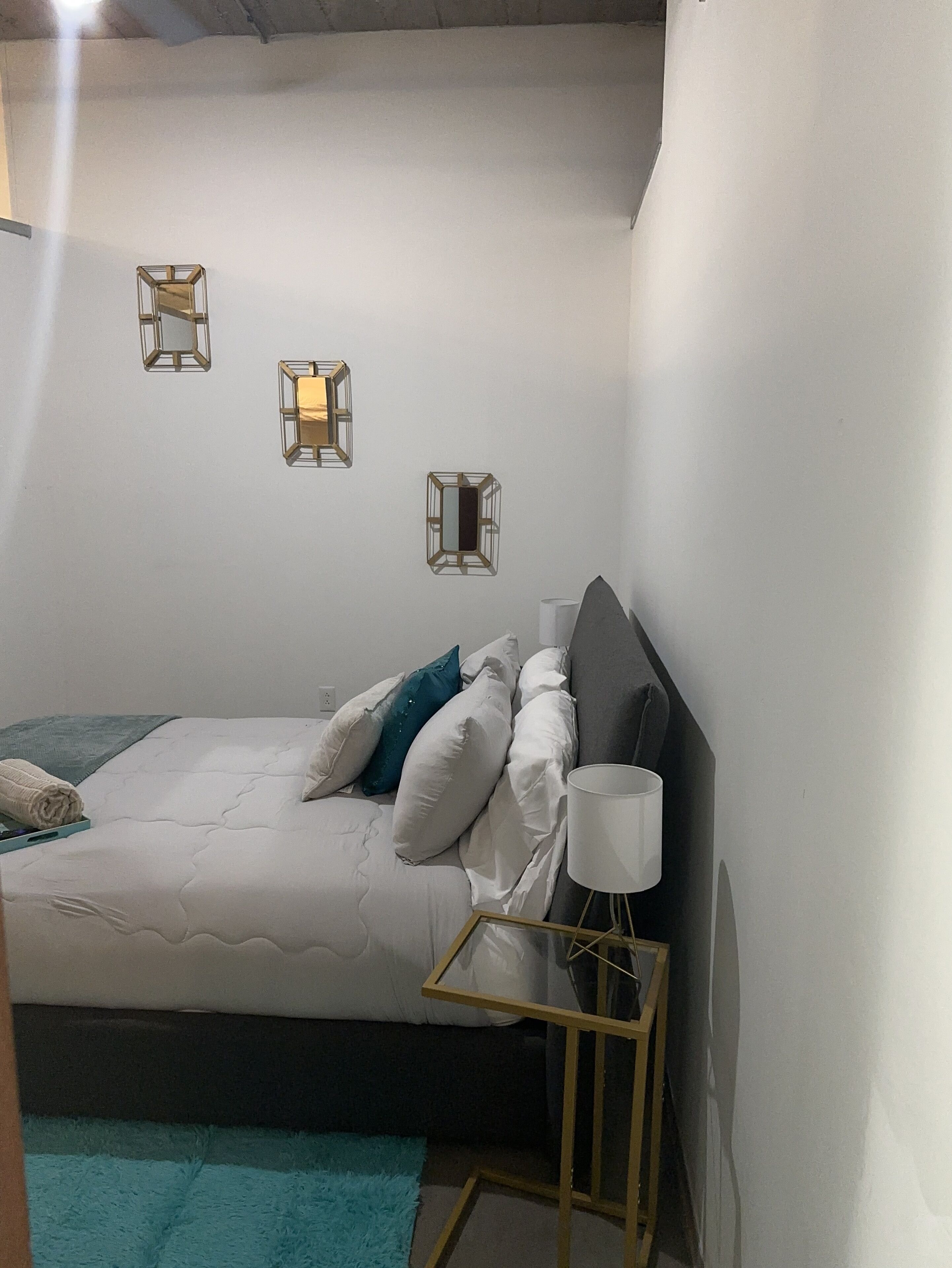 2 bd 2 bth Lux Cozy Loft Downtown STL