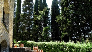 A stone staircase with terracotta pots on the steps, surrounded by lush greenery and tall trees. - HT CASTELLO DI CAMPOLONGO (Valfabbrica)