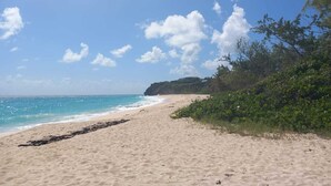 Una platja amb cel blau i aigües tranquil·les.