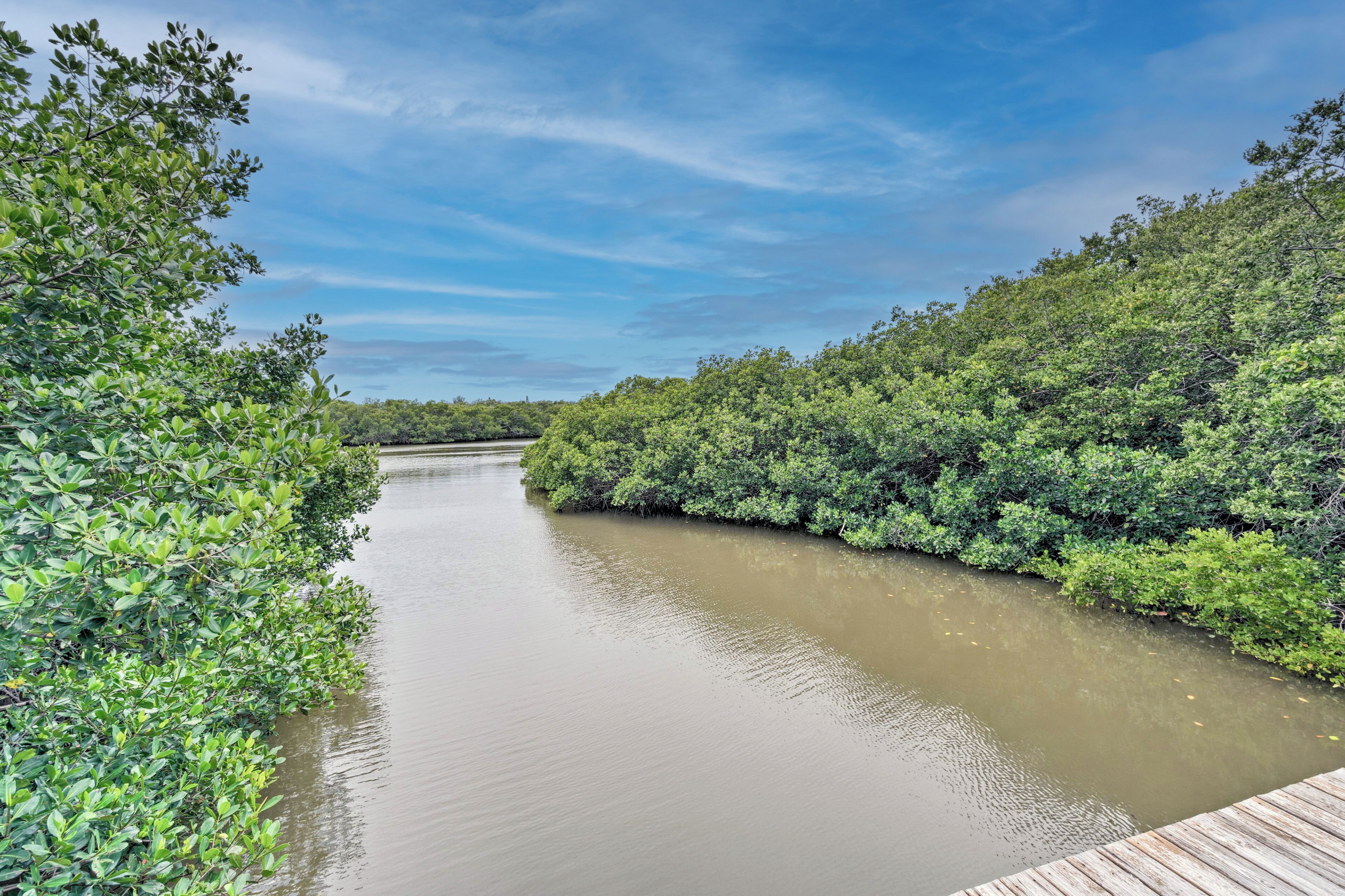 A river bordered by dense green vegetation and a wooden dock.