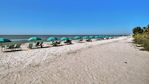 A beach with rows of green umbrellas and lounge chairs along the shoreline.