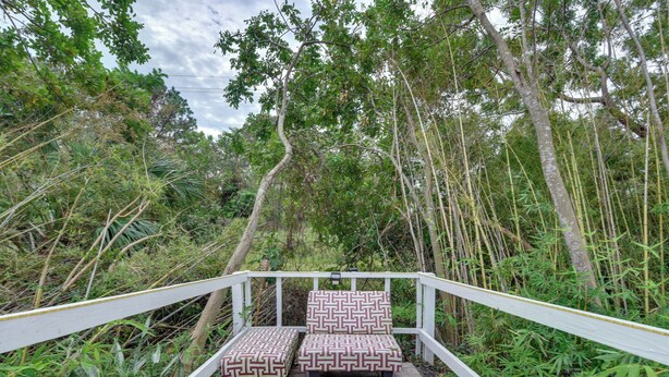 A pathway leading to two patterned benches surrounded by dense greenery and bamboo. - Convenient Sarasota Studio w/ Lush Backyard! (Sarasota)