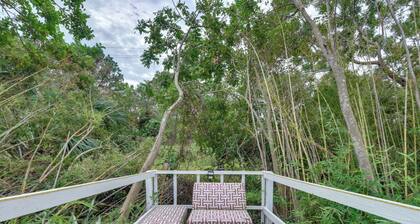 Convenient Sarasota Studio w/ Lush Backyard!