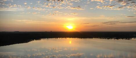 Apartamento (1 Bedroom) | Miscelánea