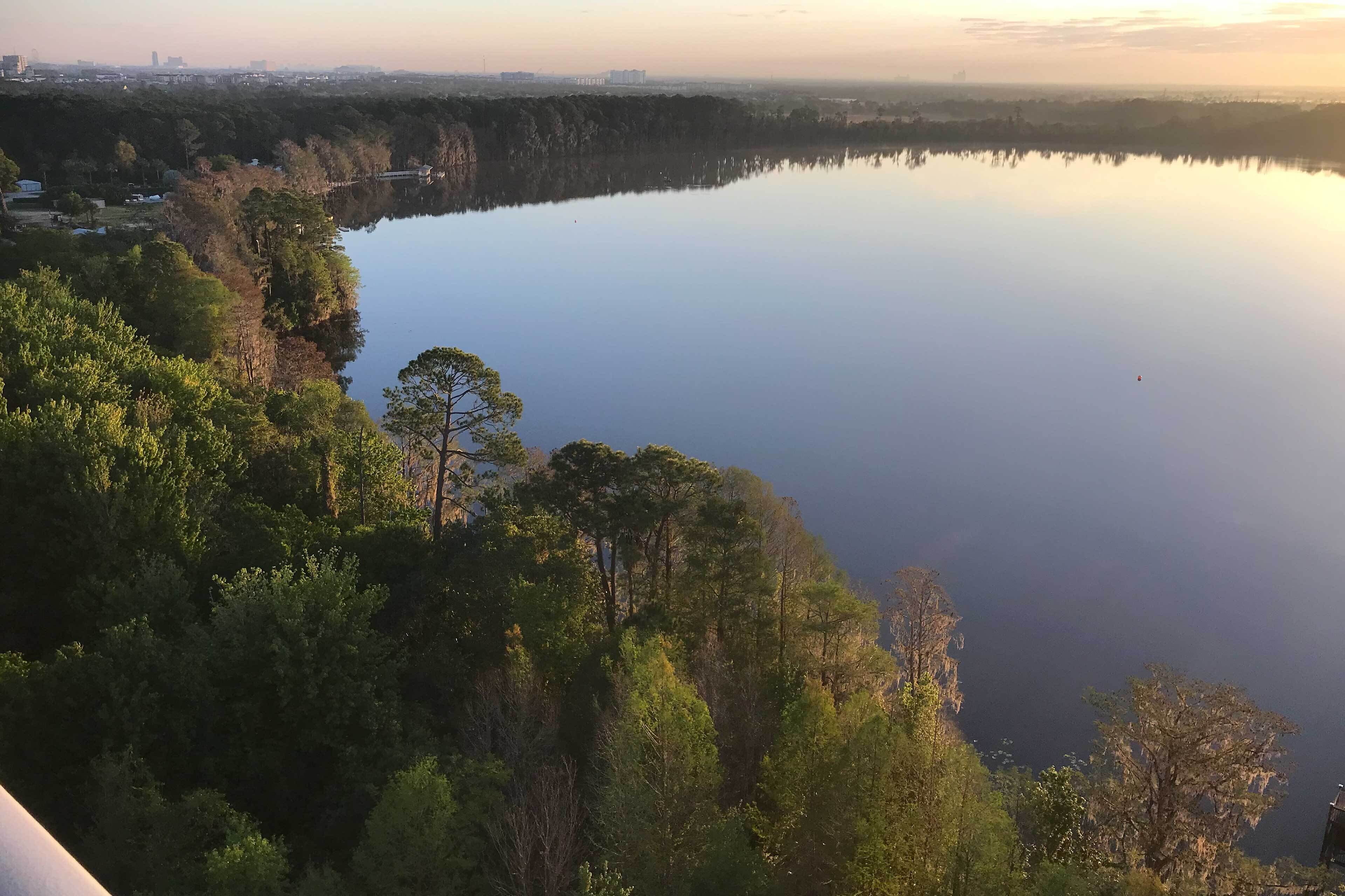 A lake surrounded by dense forest with a clear view of the water.