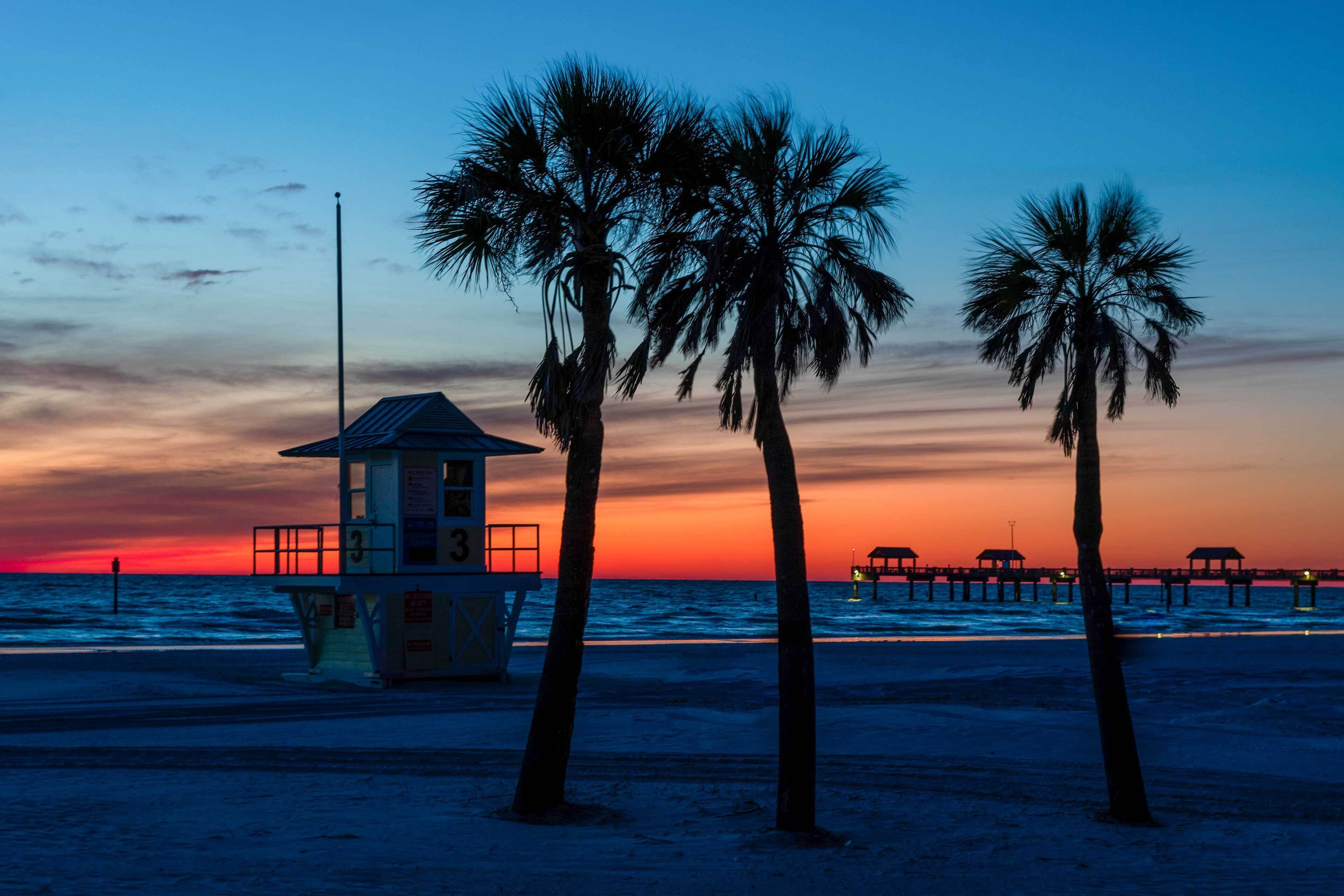 Apartment (4 Bedrooms) | Interior