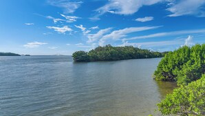 A calm lake with a small island covered in greenery, a clear sky, and a distant bridge. - Ocean Views + Pool Access: Tierra Verde Condo! (Tierra Verde)