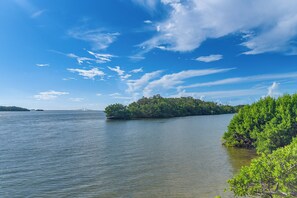 Un lago tranquillo con una piccola isola ricoperta di vegetazione, un cielo sereno e un ponte in lontananza.