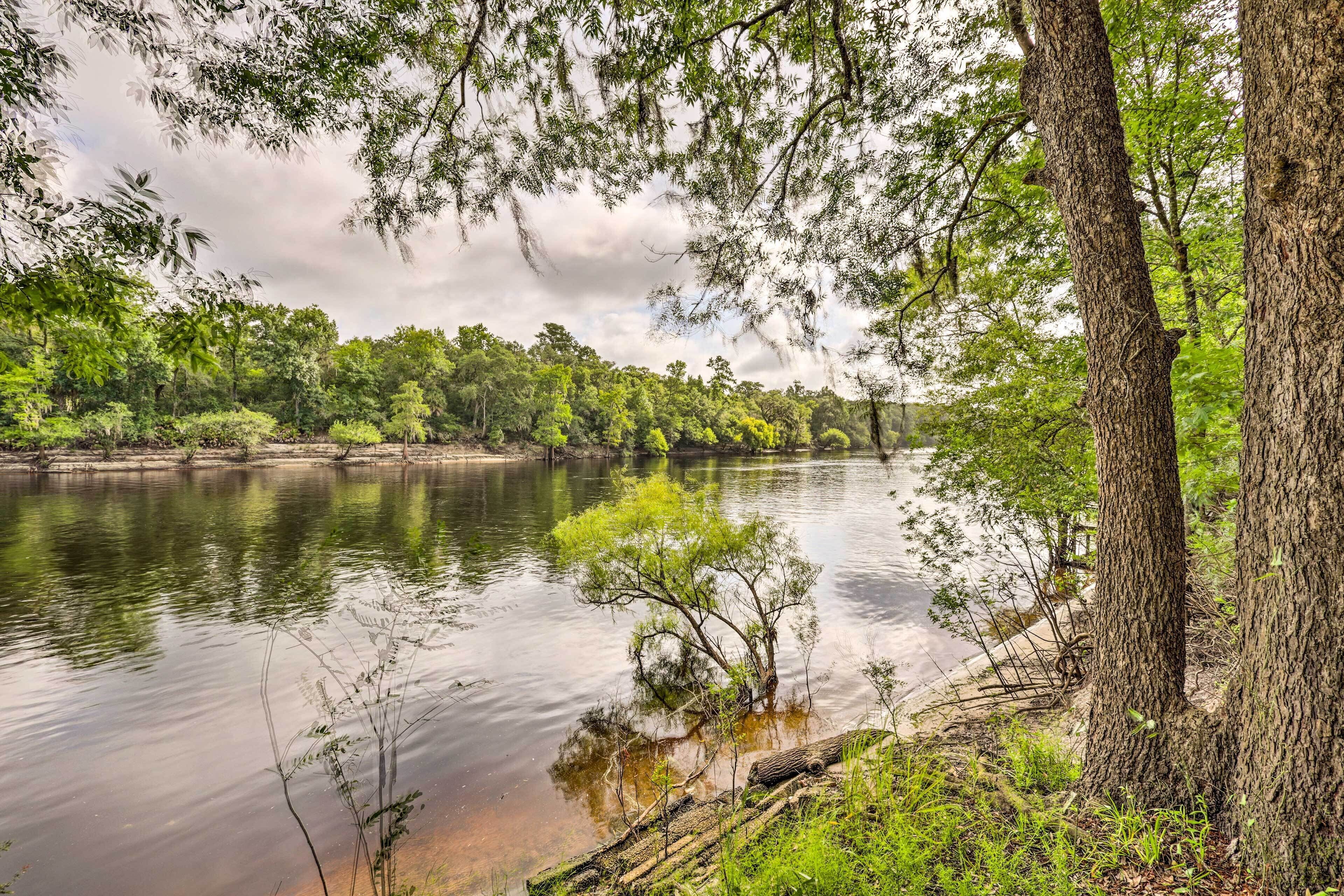 Suwannee Riverfront Home: Grill, Near Springs