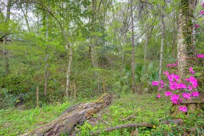 House (4 Bedrooms) | Bahagian dalam