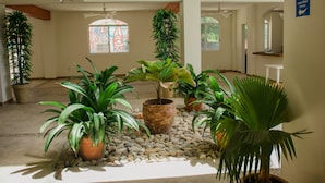 Un vaste espace intérieur agrémenté de nombreuses plantes en pot disposées sur un sol recouvert de galets, de grandes fenêtres ornées de vitraux décoratifs et d’une enseigne bien visible sur le mur.